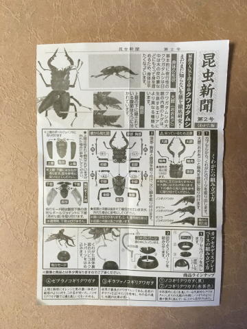昆虫新聞（第２号）