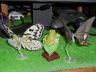 蝶は組み立てにとても難儀しました