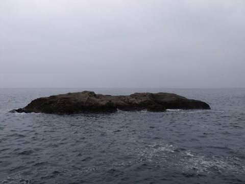 眼前の岩の向こうは太平洋…