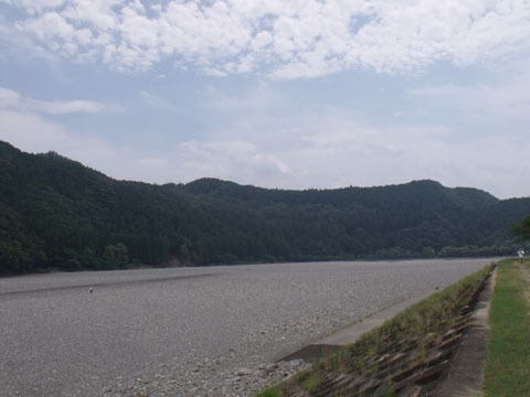 土手から見た熊野川