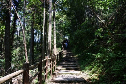 遊歩道は養老川をまたぎ上り階段へ