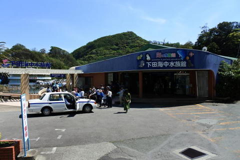 下田海中水族館　入口