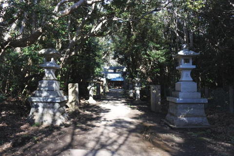 渡海神社の境内