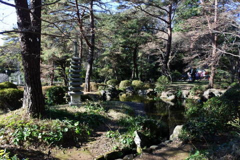 大宮公園内にある日本庭園