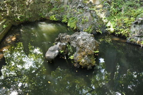 反対側の池にも亀の形をした岩