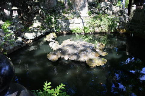 池の中央には亀の形をした岩が
