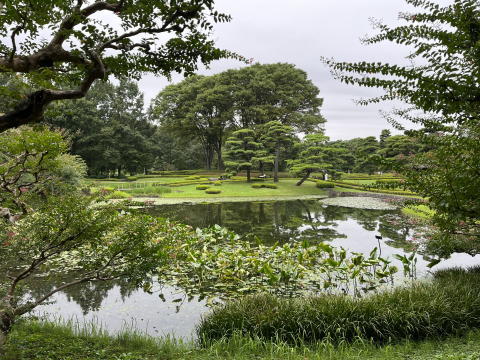 右側の池の対岸から撮影
