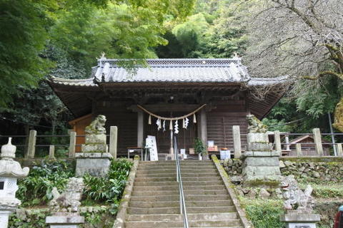 氷川神社の本殿