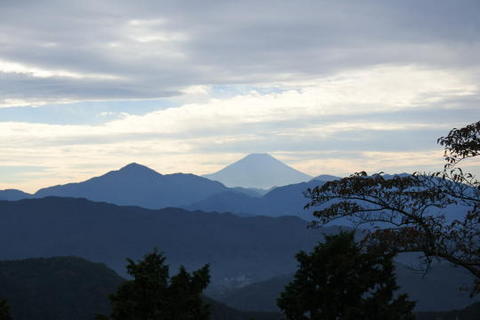 曇り空ながらも富士山が見えた