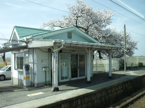 東光寺駅でも桜が満開