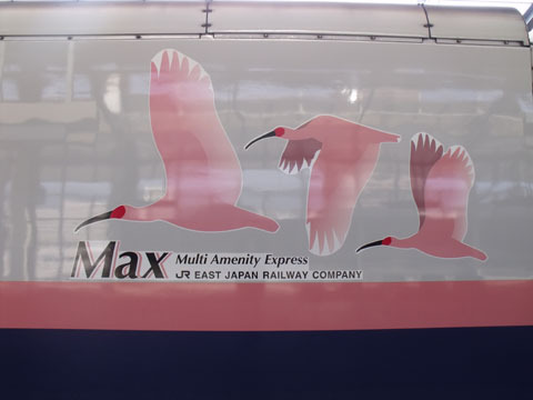 Max=Multi Amenity Express