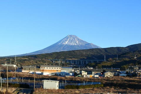 今年は富士山がばっちり見えた